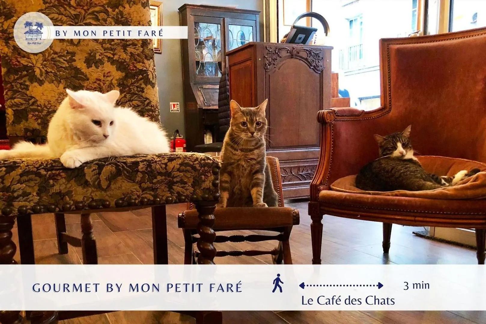 Le Perchoir - Charmant & Lumineux - Bastille Paris